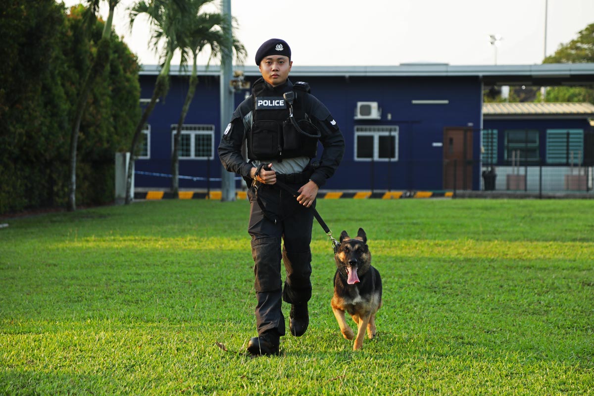 SPF K9 NDP 02