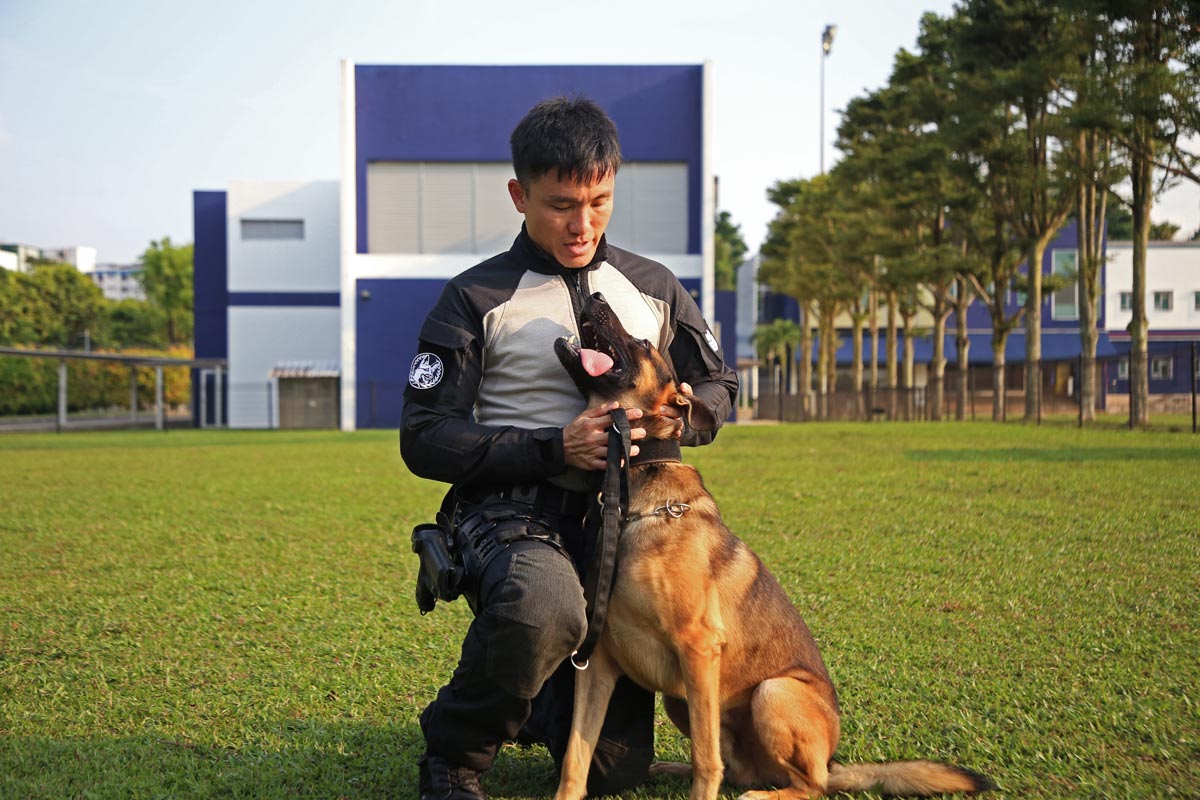SPF K9 NDP 05