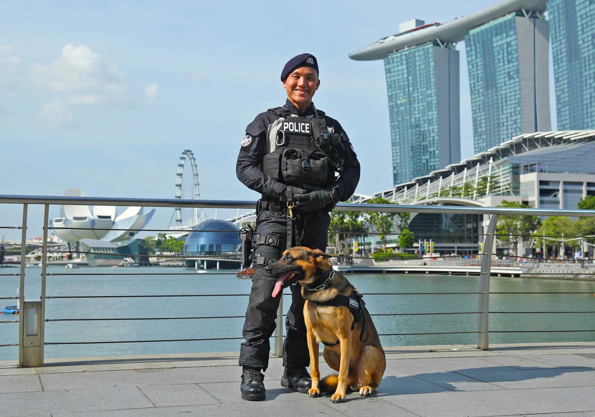 SPF K9 NDP 07